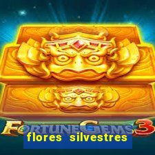 flores silvestres desbravadores desbravadores 25